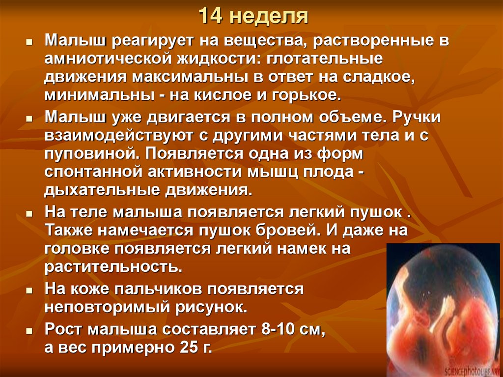 Жидкость при беременности. Амниотическая жидкость. Жидкость в организме беременной. Изменения в организме беременной женщины по неделям. Младенец в амниотической жидкости.