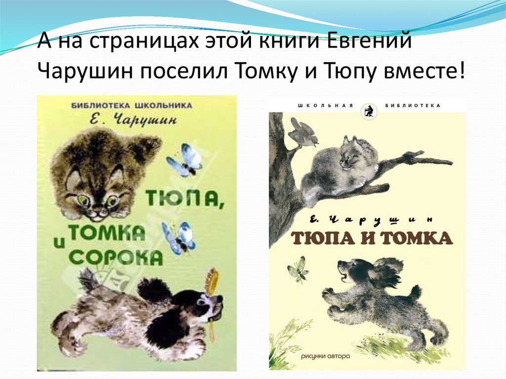 Рассказ чарушина 4 класс читать. Книга Тюпа Томка и сорока. Иллюстрации Чарушина Тюпа и Томка.