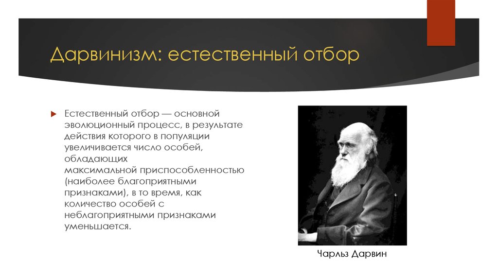 Дарвинизм тест. Теория дарвинизма. Теория естественного отбора Чарльза Дарвина. Дарвинизм это в биологии. Дарвинизм фото.