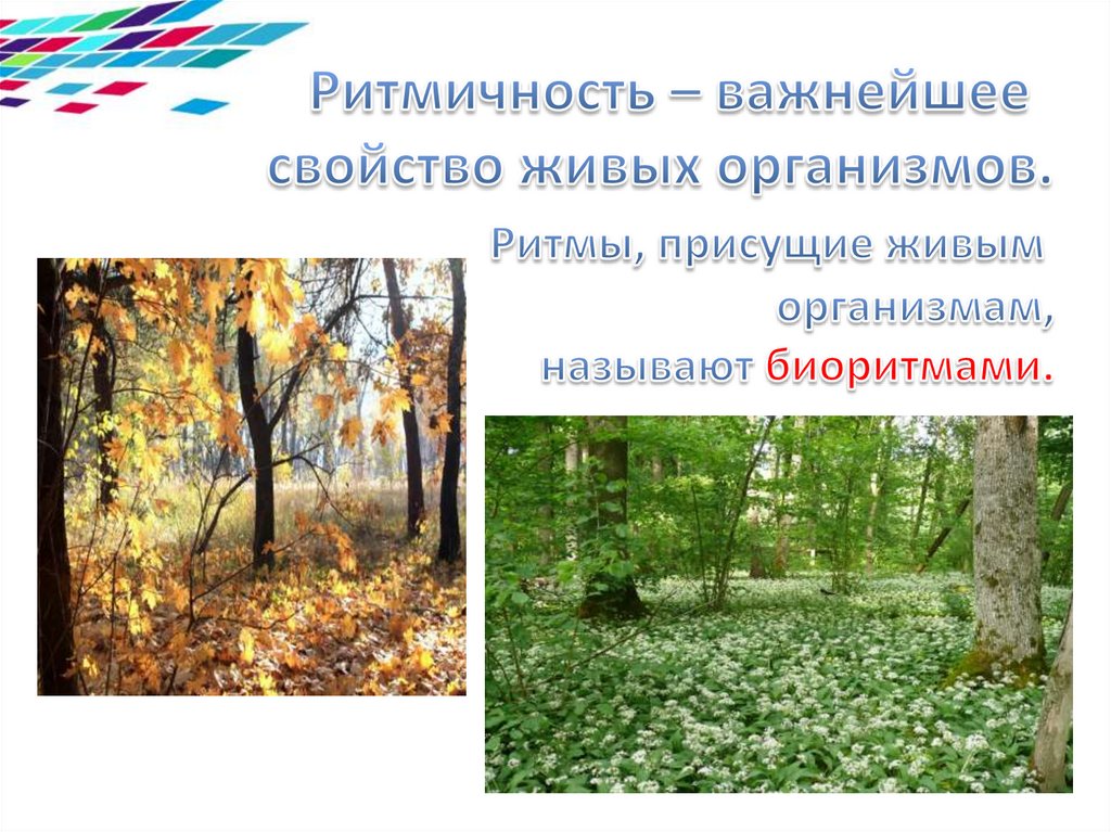 Изменения жизни организмов