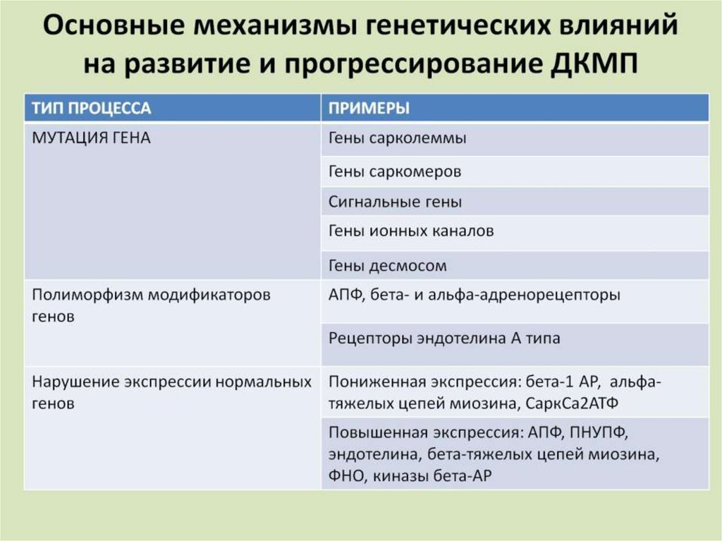 Основные механизмы генетических влияний на развитие и прогрессирование ДКМП