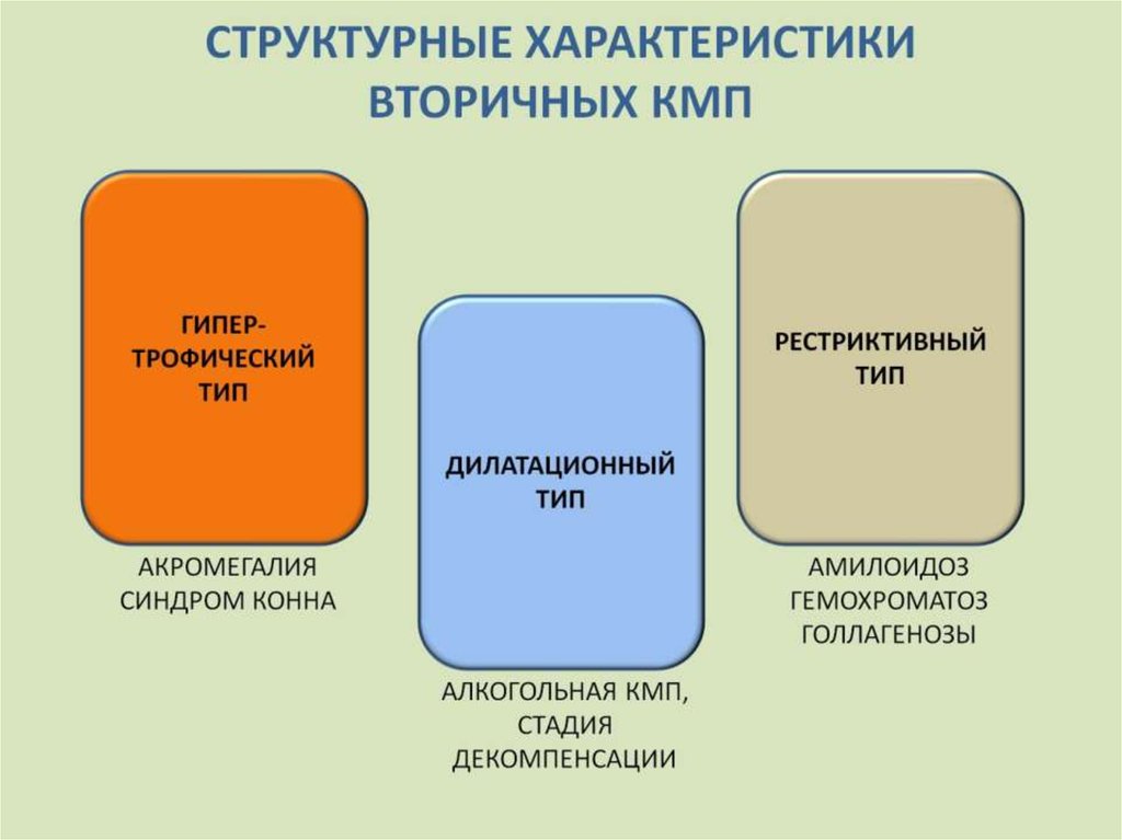 СТРУКТУРНЫЕ ХАРАКТЕРИСТИКИ ВТОРИЧНЫХ КМП