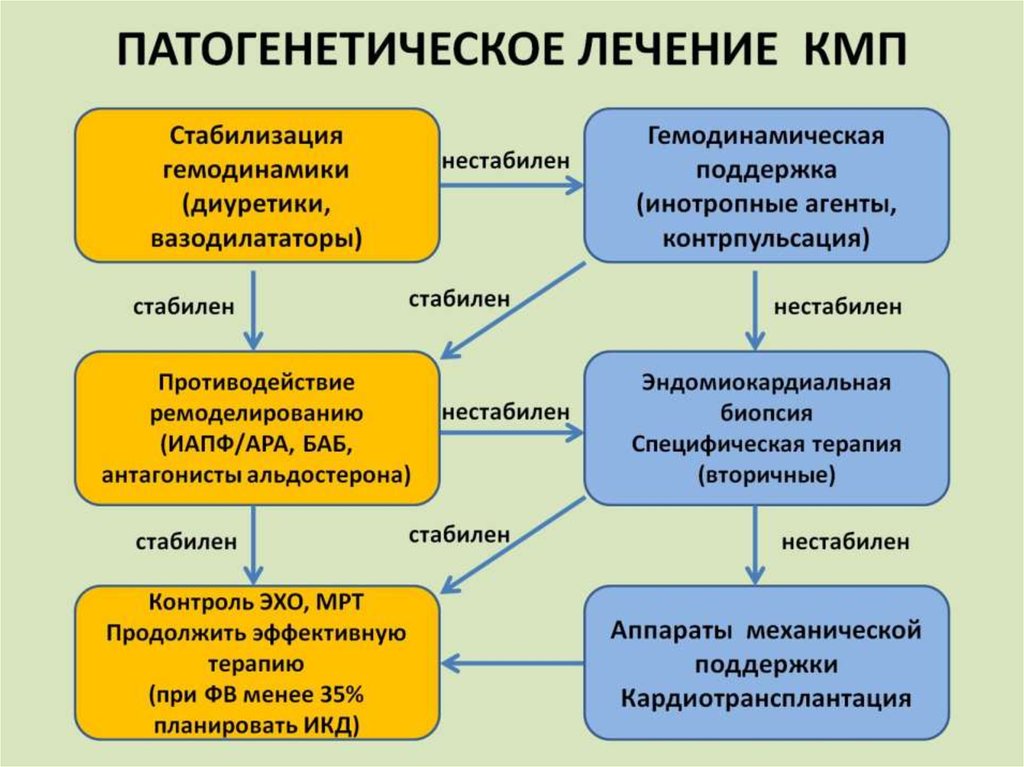 ПАТОГЕНЕТИЧЕСКОЕ ЛЕЧЕНИЕ КМП