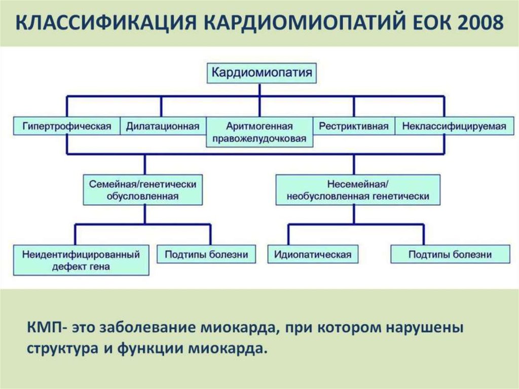 Первичная классификация. Классификация первичных кардиомиопатий. Дилатационная кардиомиопатия классификация. Классификация дилатационной кардиомиопатии. Первичная кардиомиопатия этиология.