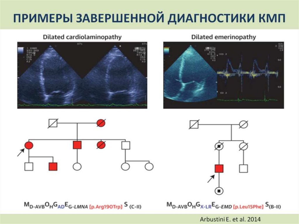 ПРИМЕРЫ ЗАВЕРШЕННОЙ ДИАГНОСТИКИ КМП