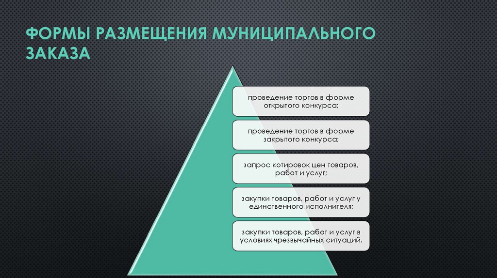 Муниципальный заказ. Формы размещения муниципального заказа. Функции муниципального заказа. Способы размещения муниципального заказа.