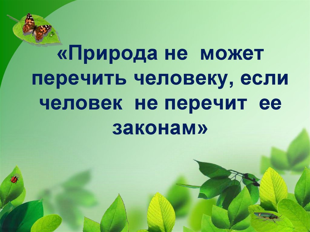 Презентация природа