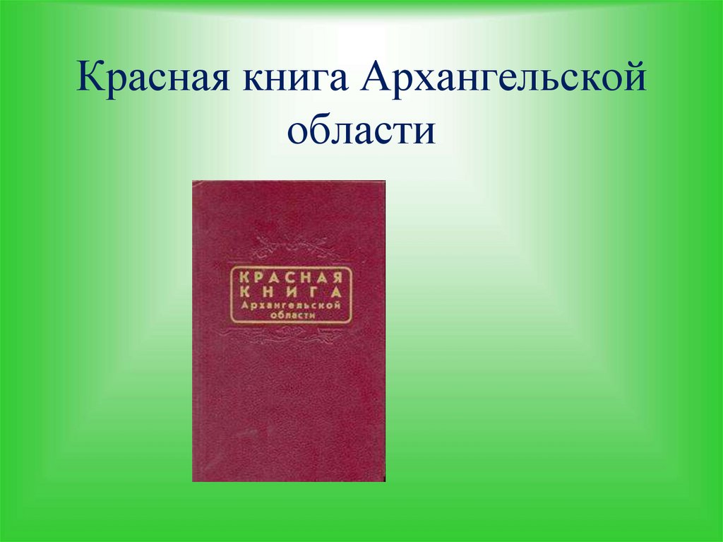 Первая красная книга фото