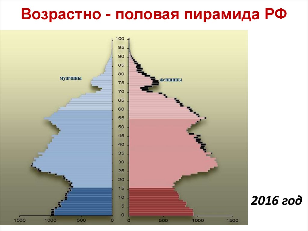 Практическая работа население россии половозрастной состав. Возрастно половая пирамида населения России 2010 год.