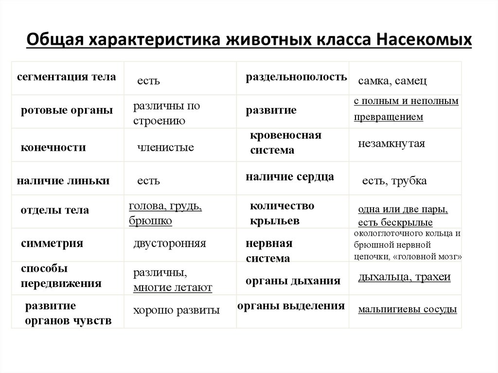 Виды классов характеристика. Характеристика насекомых 7 класс биология. Класс насекомые общая характеристика 8 класс. Класс насекомые общая характеристика 7 класс таблица. Таблица насекомые 7 класс биология общая характеристика.