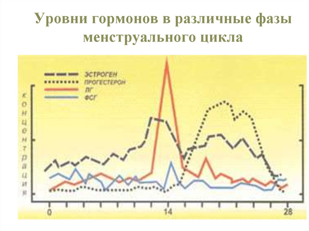 Уровень гормонов