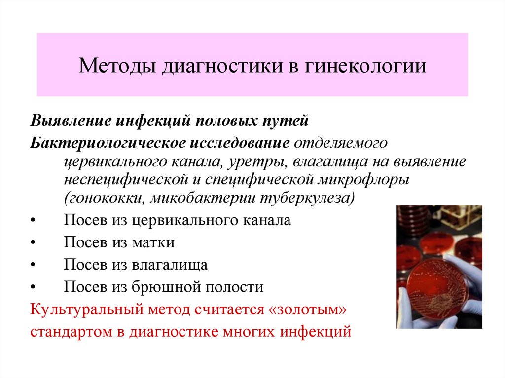 Методы исследования гинекологических больных презентация