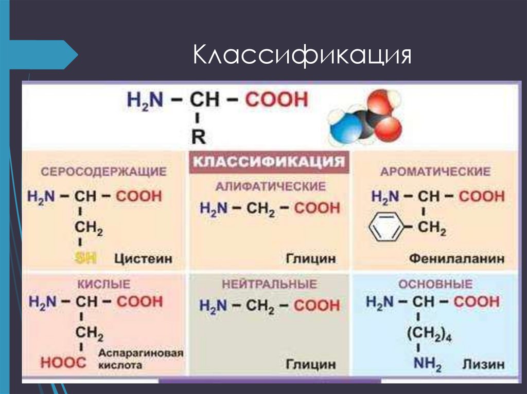 Какие функциональные группы аминокислот. Классификация аминокислот. Аминокислоты строение и классификация. Классификация аминокислот по полярности радикалов. Функциональные группы радикалов аминокислот.