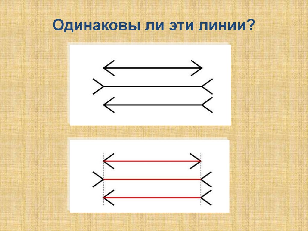 Линий ли. Одинаковая ли длина у линий. Линии для подчеркивания текста. Текст из линий. Слово из линий.