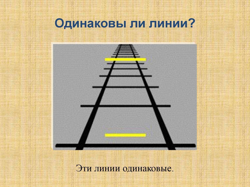 Одинаково стоят. Линии одинаковые. Три одинаковые линии. Одинаковы ли линии. Линии одинаковые или разные рисунок.