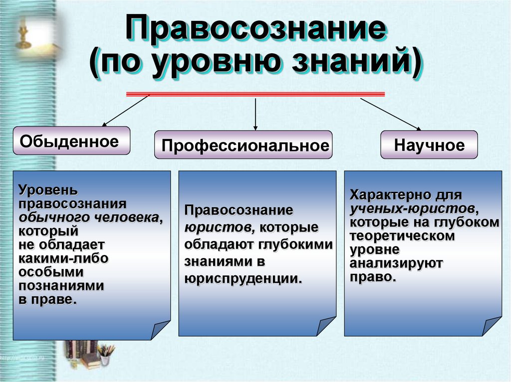 Примеры профессионального общества