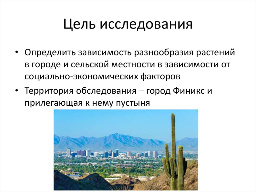 Города обследование