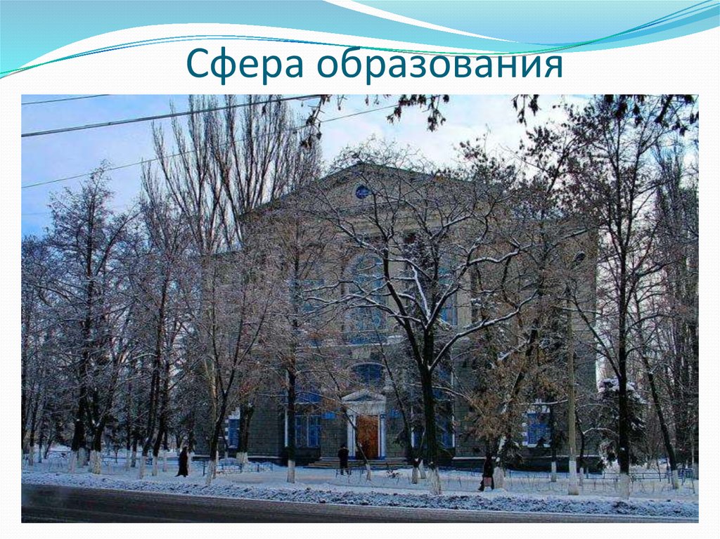 Сфера образования