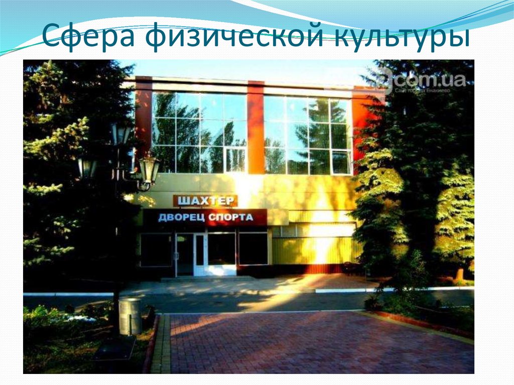 Сфера физической культуры