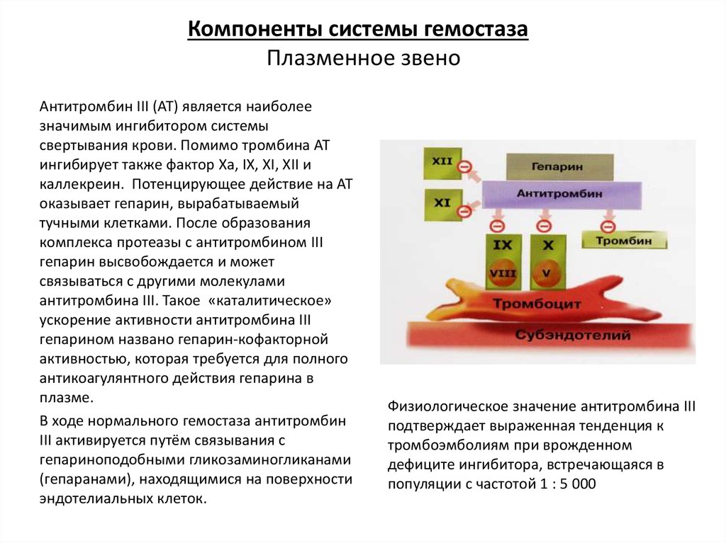 Антитромбин lll норма