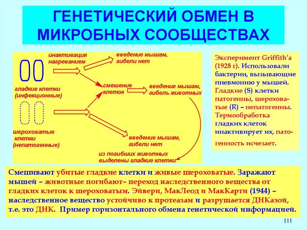 Обмен произошел