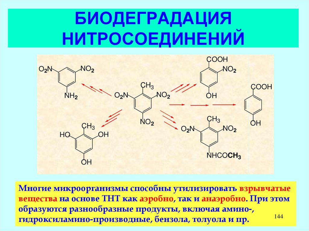 Нитросоединения презентация 10 класс профильный уровень