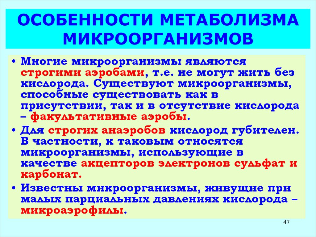 Особенности метаболизма