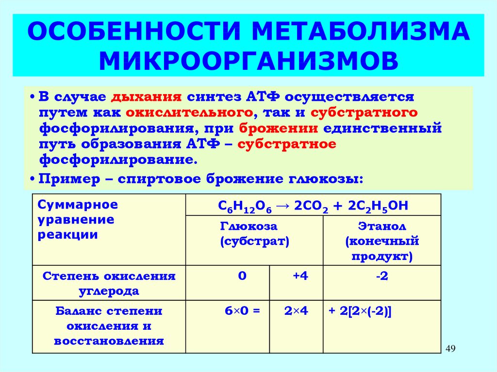 Особенности обмена веществ у животных