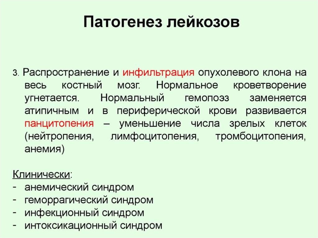 Развитие лейкоза. Механизм развития лейкоза. Патогенез лейкозов. Патогенез лейкозов патофизиология. Патогенез острого лейкоза.