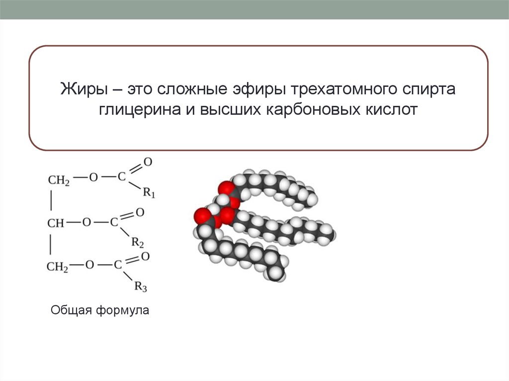 Глицерин высшая карбоновая кислота. Сложные эфиры трехатомного спирта глицерина и высших карбоновых. Неполный сложный эфир глицерина. Классификация карбоновые сложные жиры. Жиры это сложные эфиры глицерина и высших.