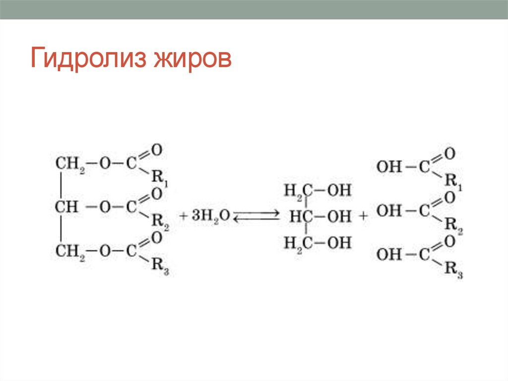 Результат гидролиза жидкого жира. Кислотный гидролиз жира формула. Гидролиз жиров формула реакции. Кислотный и щелочной гидролиз жиров. Уравнение реакции гидролиза жиров формула.