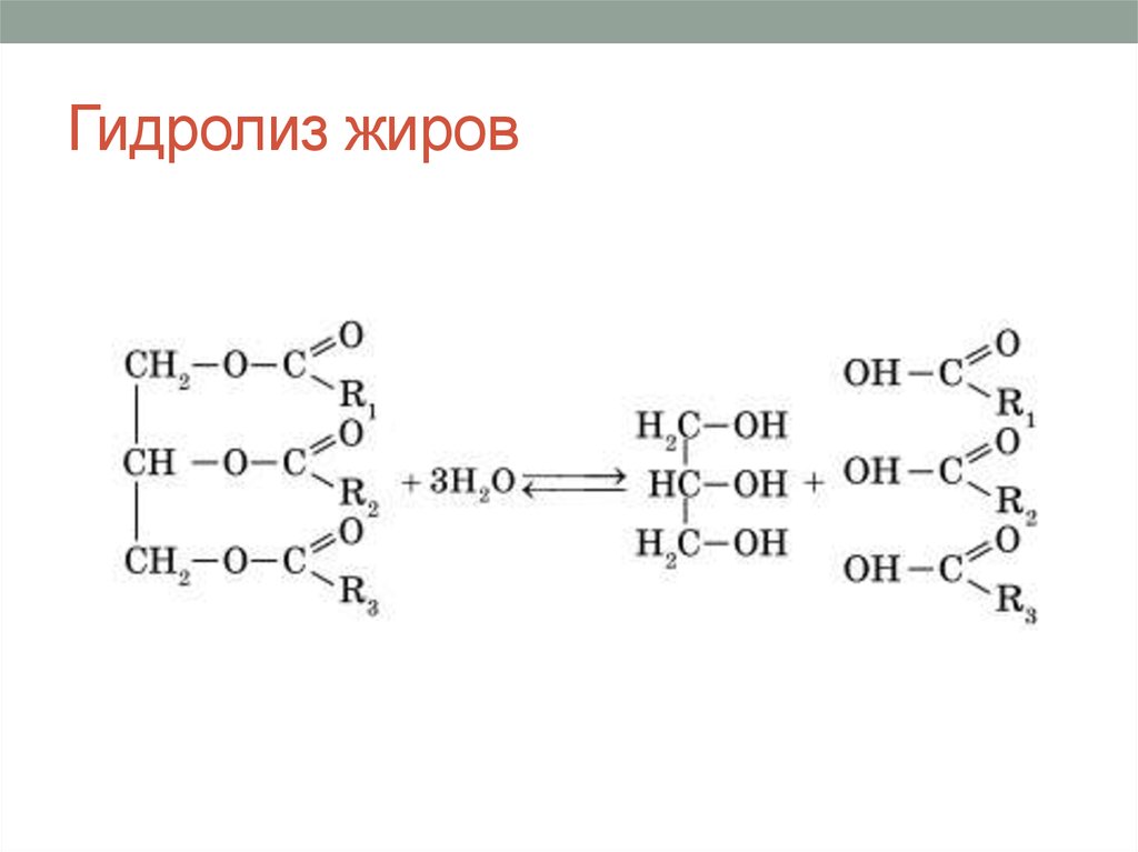 Результат гидролиза жидкого жира