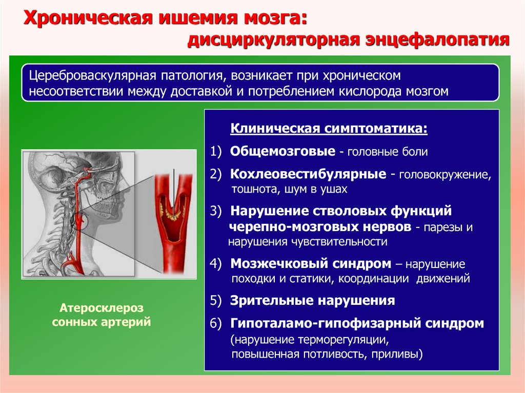 Стадии ишемии головного. Хроническая ишемия головного мозга синдромы. Классификация ишемической болезни головного мозга. ЦВБ дисциркуляторная энцефалопатия клиника. Проявления хронической ишемии головного мозга.