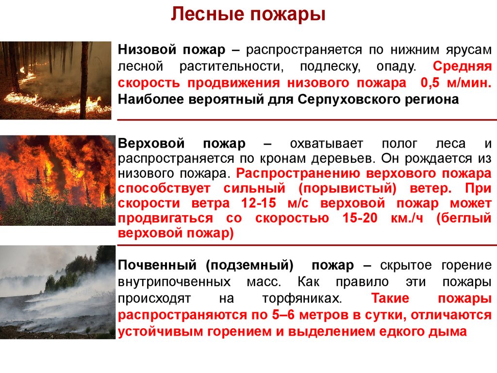 Природный пожар определение. Лесной пожар это определение. ЧС Лесные пожары и классификация. Природные пожары это определение. Причины природных пожаров.