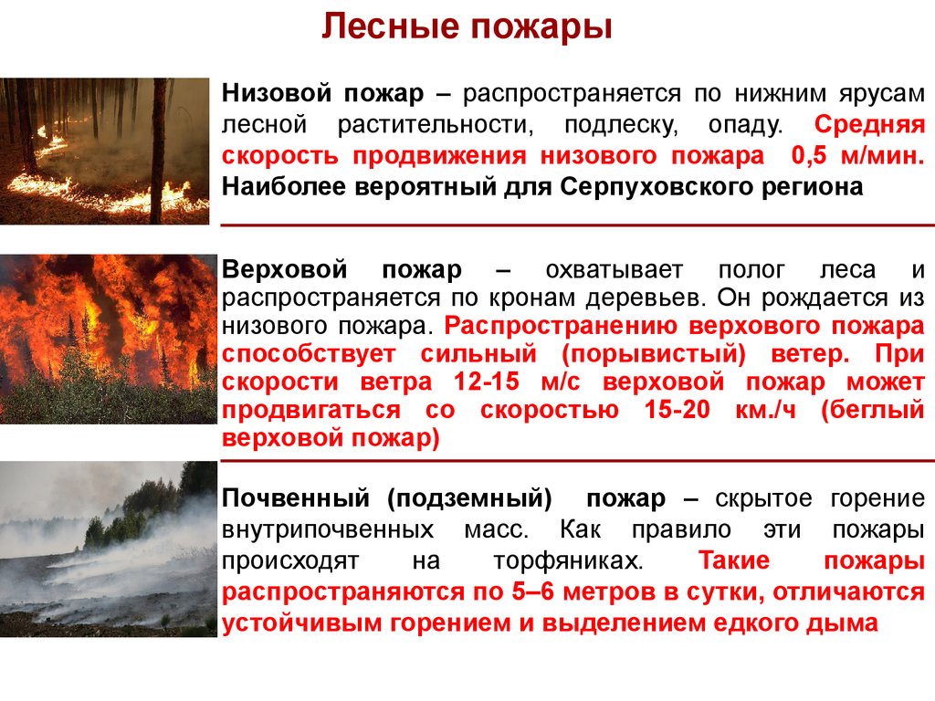 Укажите причины частых пожаров на руси. Природные пожары это определение. Лесной пожар это определение. Лесные пожары классификация ЧС. Основные понятия лесных пожаров.