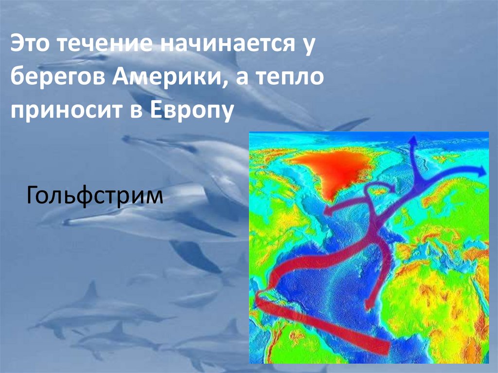 Прочитайте два гольфстрима. Где начинается течение Гольфстрим?. Карта воды суши. Изотермы в Европе без Гольфстрима.