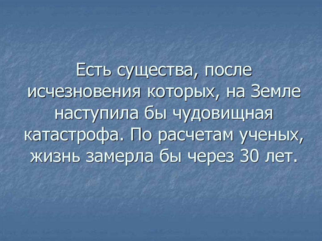 Наступила земля