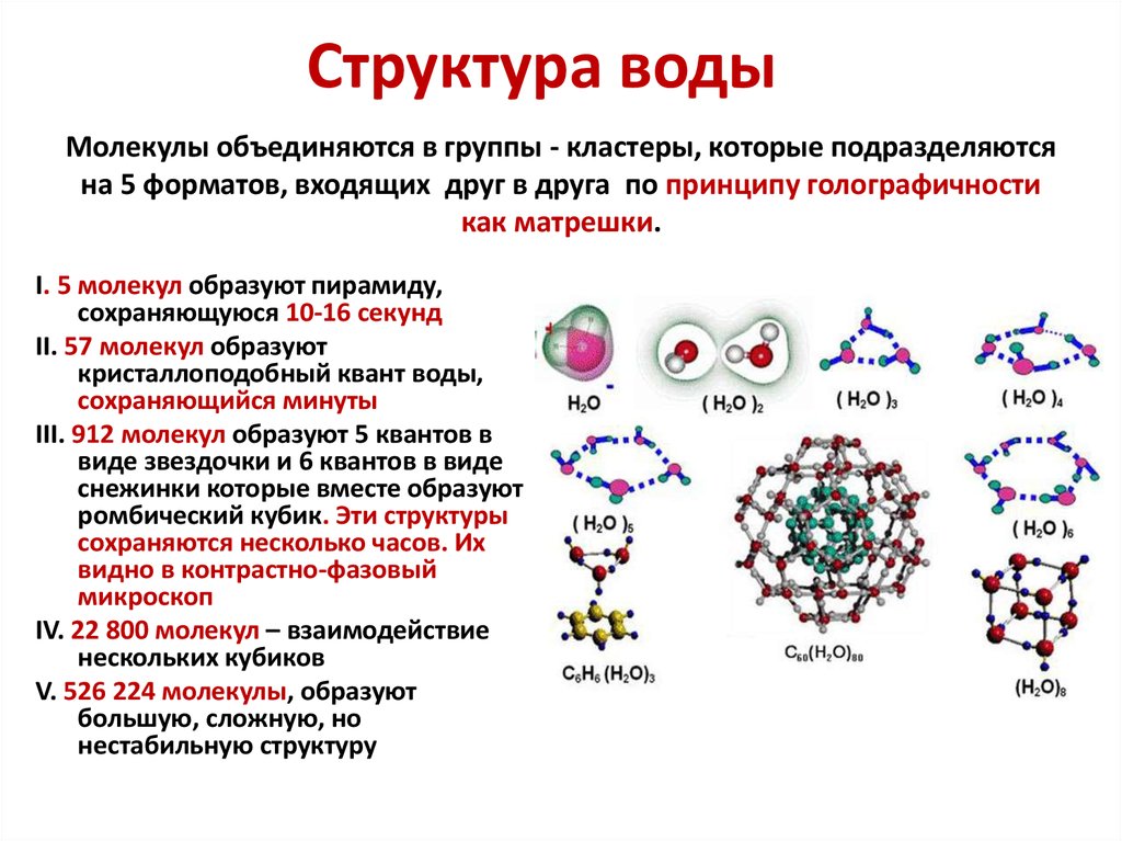 Структура жидкости