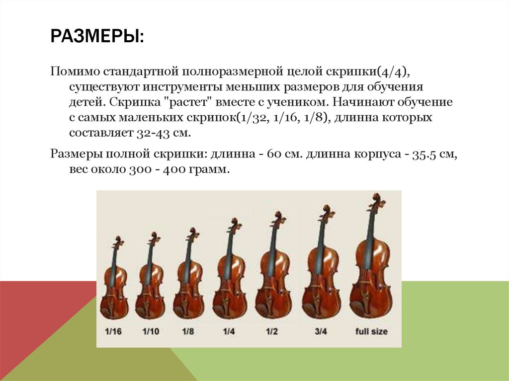 Типы скрипок. Размер Альта и скрипки. Скрипка Альт виолончель контрабас. Подросшая скрипка. Размер целой скрипки.