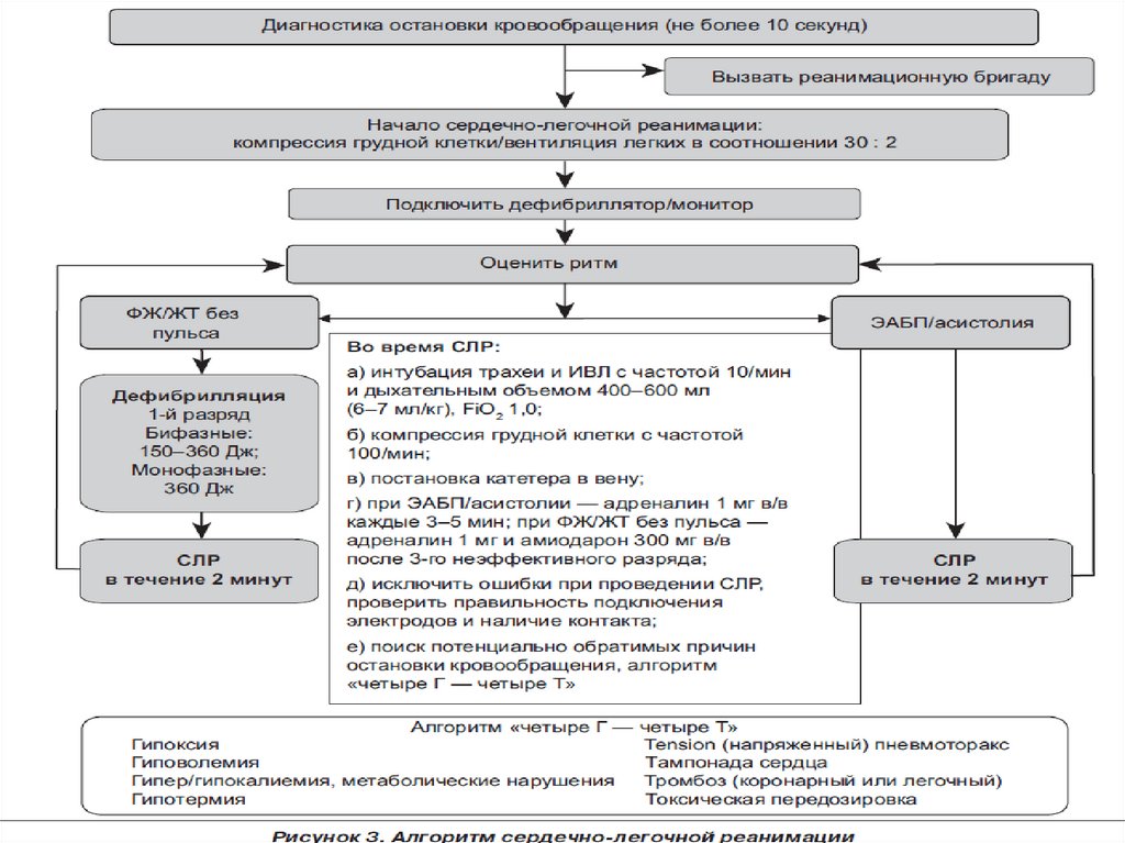 Протокол сердечно легочной реанимации образец