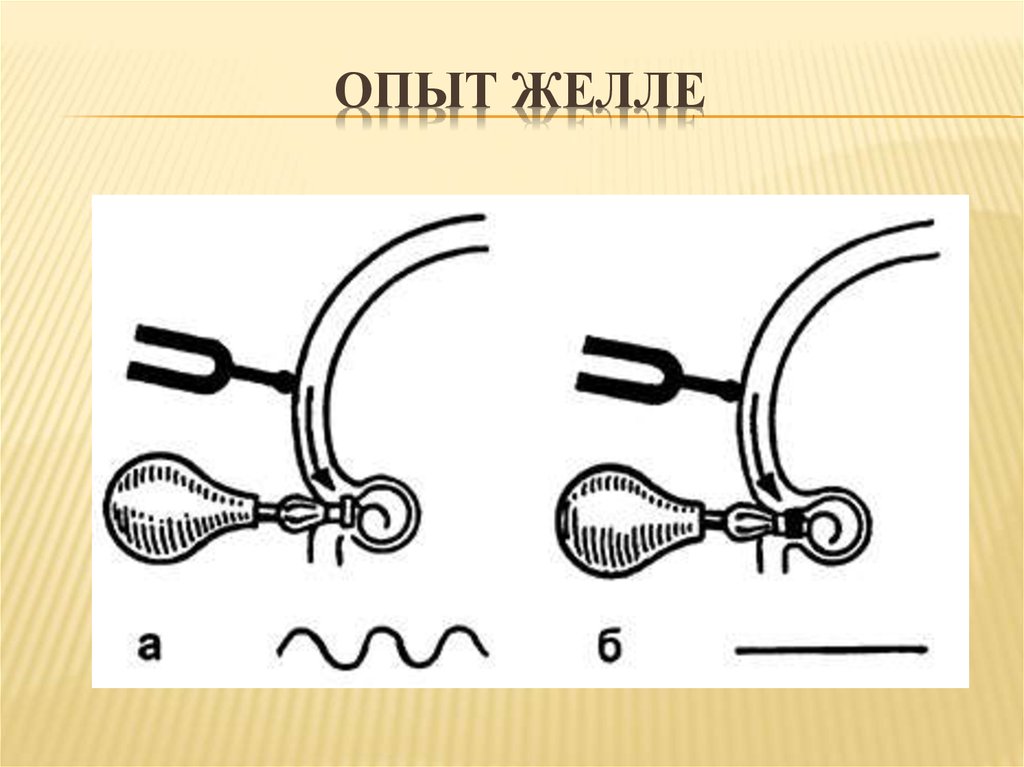 Исследование камертоном. Исследование камертонами слуха опыт желе. Камертональный опыт желле. Опыт желе.