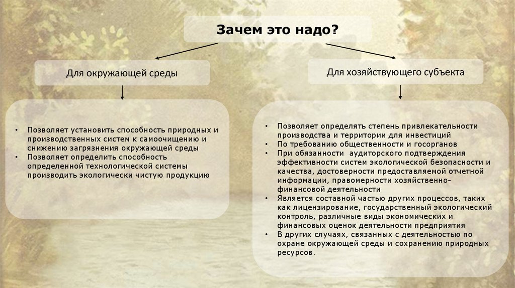 Проект закона об экологическом аудите