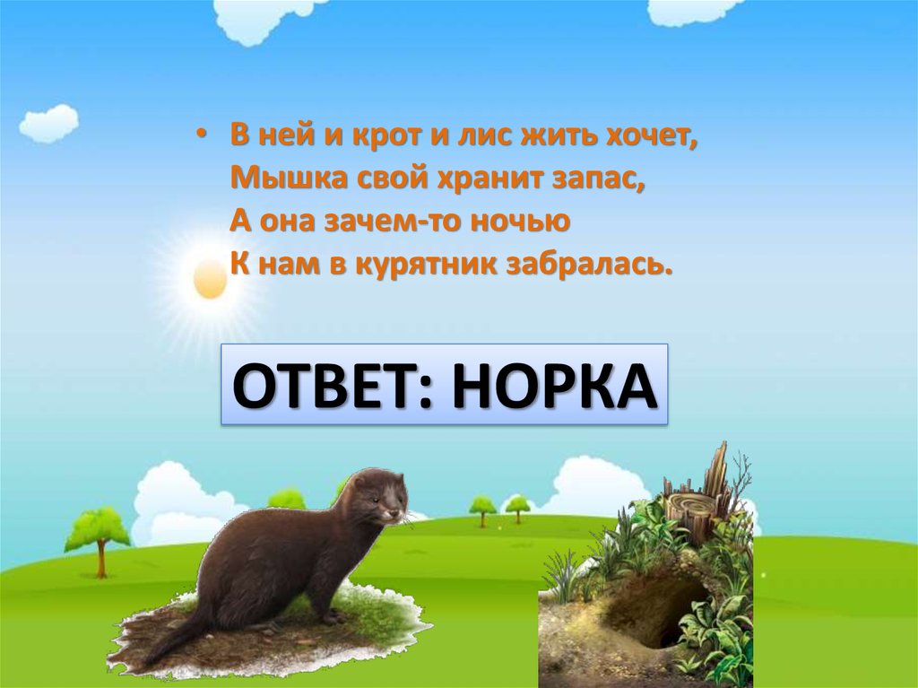 Мальчик крот