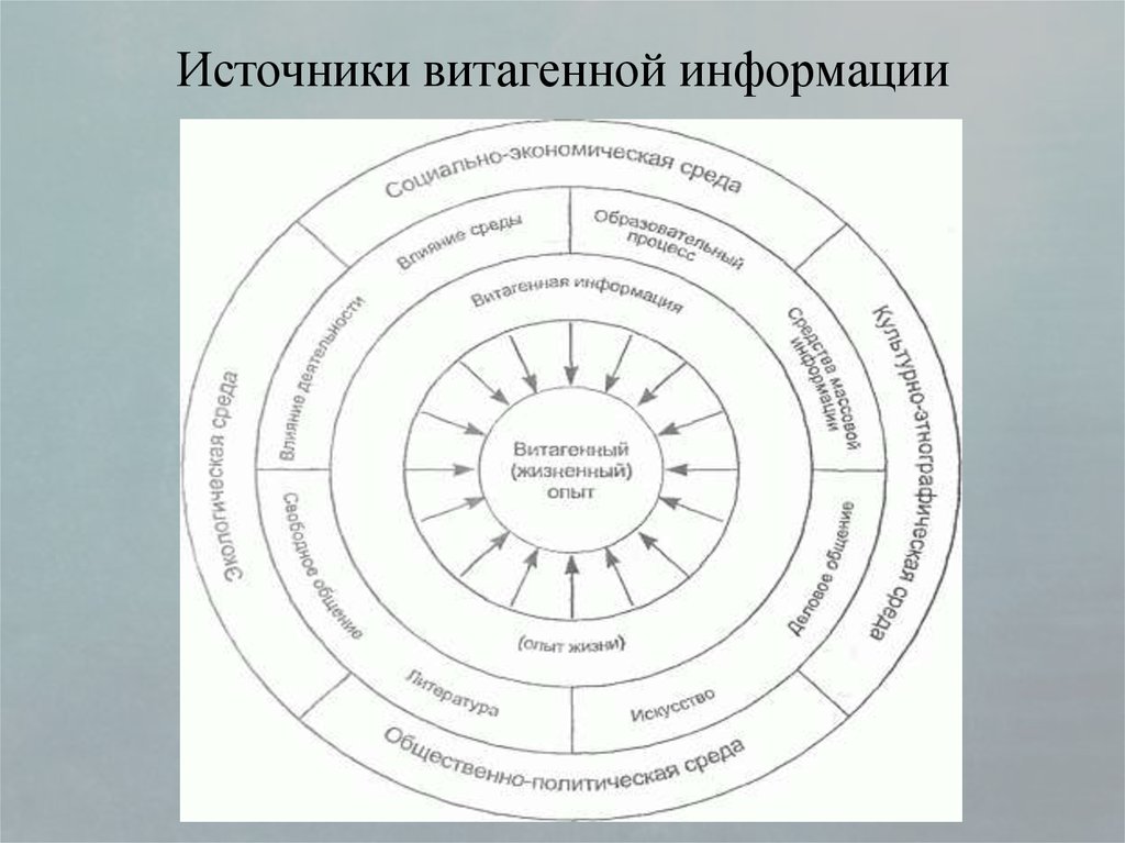 Технология витагенного обучения презентация