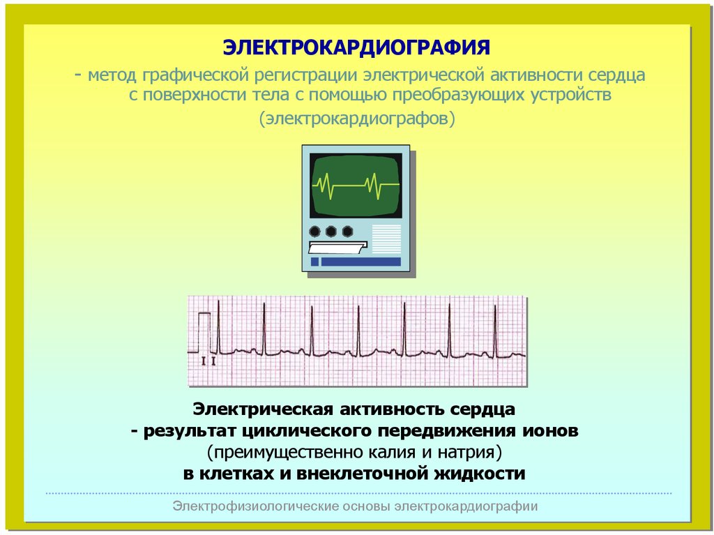 В виде чего регистрируются электрические импульсы сердца. ЭКГ метод регистрации электрической активности сердца. Биофизические основы электрокардиографии. Анатомо физиологические основы ЭКГ. Электрофизиологические основы ЭКГ.