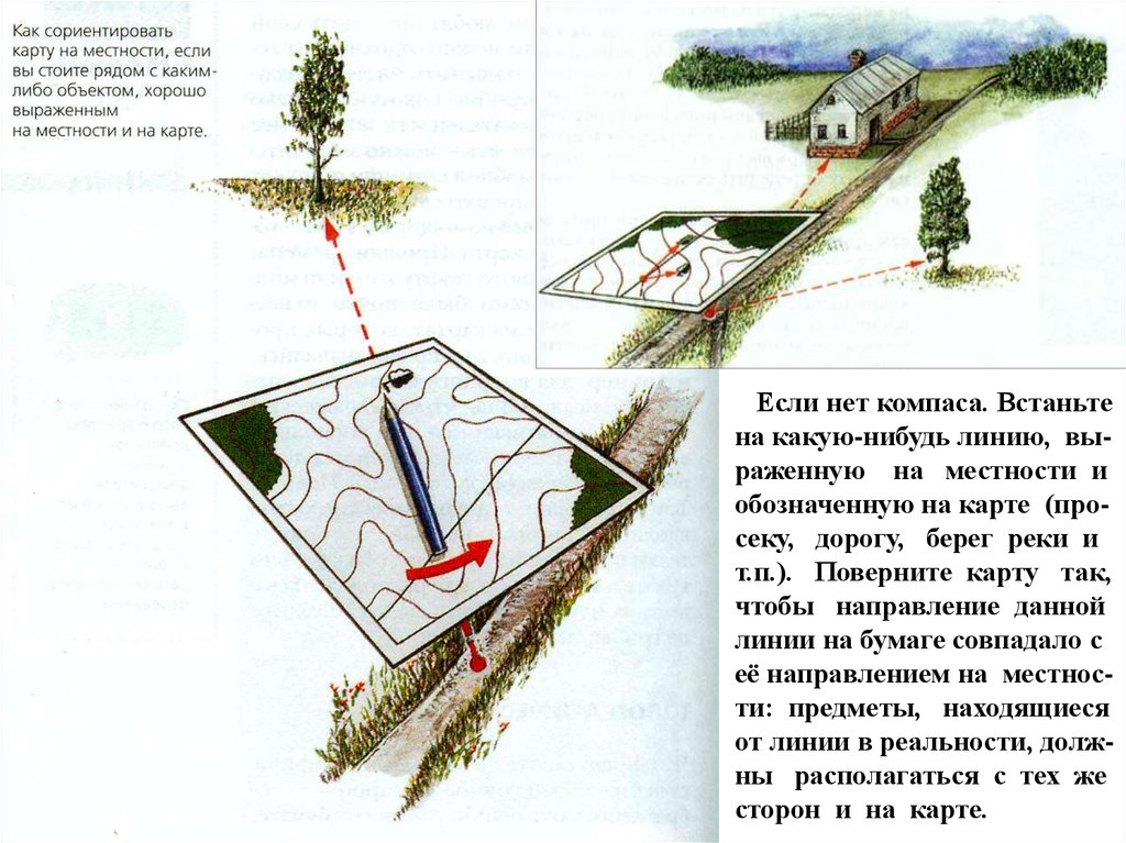 Сориентируйте как писать