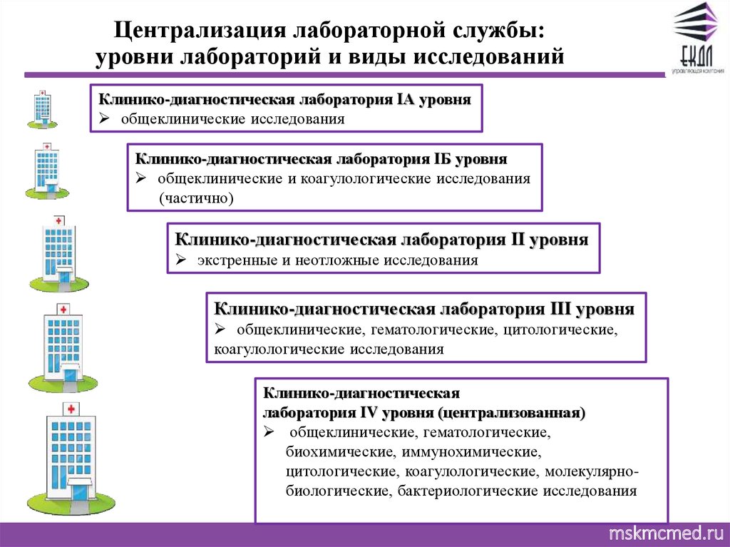 2 уровня исследования. Уровни клинико диагностических лабораторий. Централизация лабораторий. Централизация лабораторной диагностики. Централизация лабораторной службы.