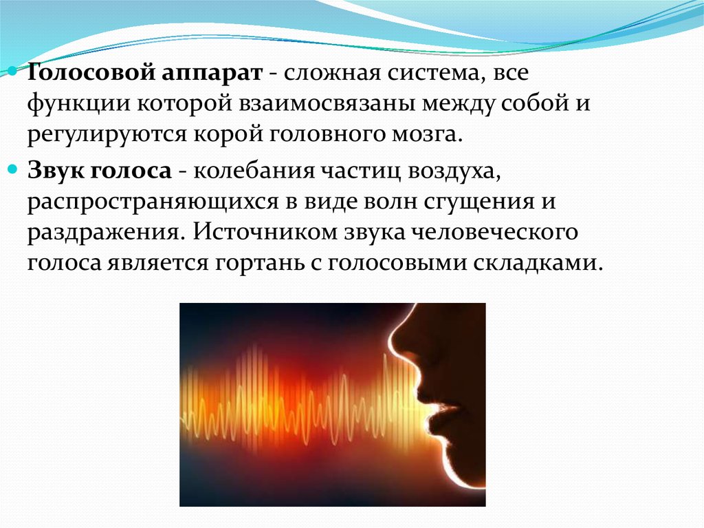 Колебания голоса. Анатомо-физиологические основы голосообразования. Анатомо-физиологические основы голосообразования кратко.