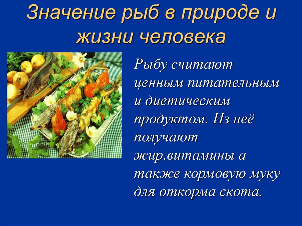 Значение рыб. Значение рыб в природе и жизни человека. Значение карася в природе и жизни человека. Значение рыб для растения. Значение рыбалки для человека.