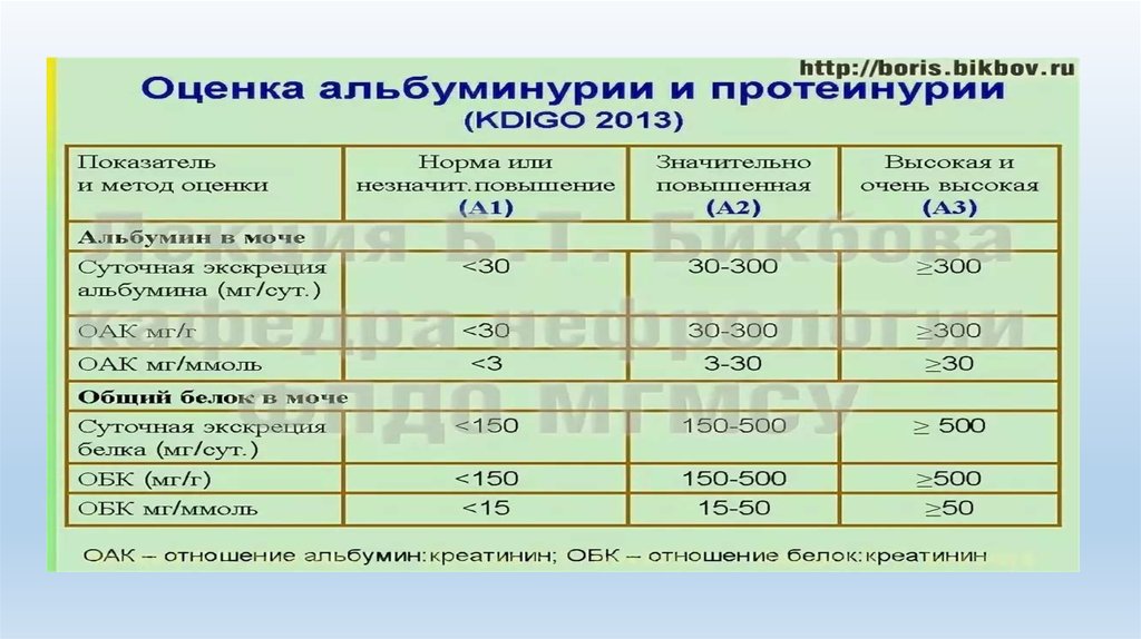 Суточный белок в моче. Белок в моче классификация. Оценка альбуминурии протеинурии. Суточная протеинурия норма у мужчин. Норма белка в суточной протеинурии.